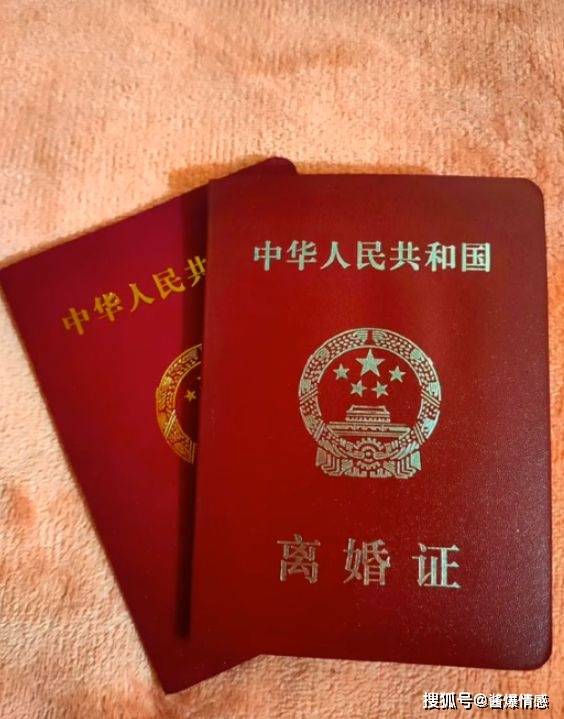 如何选择专业离婚证制作？这些坑我不希望你踩